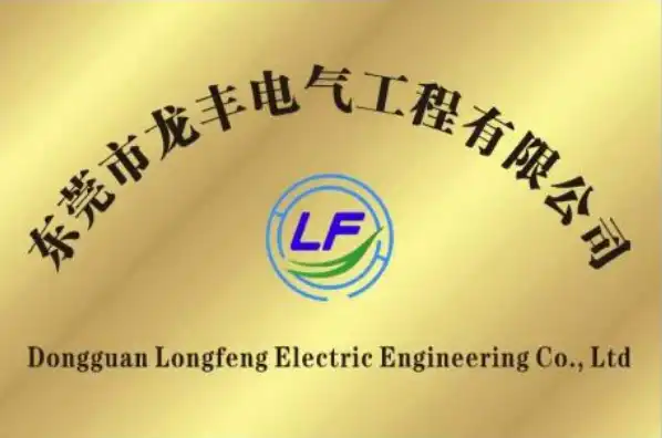 东莞市龙丰电气工程有限公司